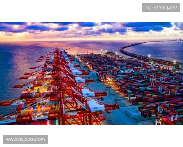 以上海海港为核心推动全球航运枢纽建设与区域经济合作发展新机遇