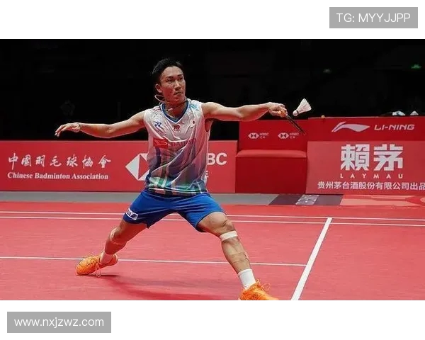 上海羽毛球队在锦标赛中的默契配合与战术分析